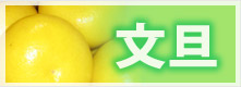 文旦