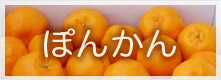 ぽんかん