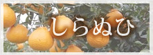 はるか
